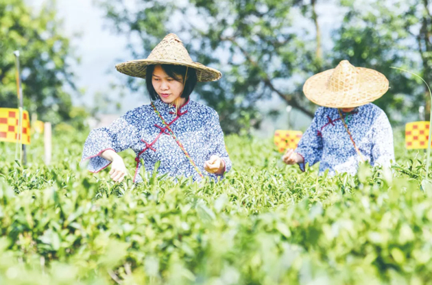 國家批復(fù)同意，梧州籌建！