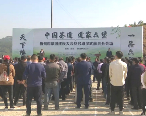 我市召開茶產業(yè)發(fā)展大會茶園建設現(xiàn)場會 吹響建設百萬畝茶園沖鋒號角