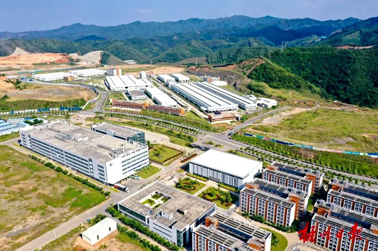 推動區(qū)域合作提質(zhì)升級丨自治區(qū)政府工作報告中提出要擴大對外開放在我市引起熱烈反響