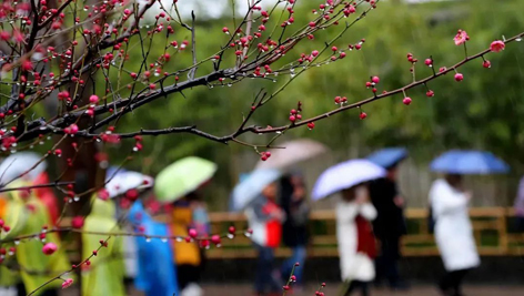 今日雨水！別忘了咱的老講究！